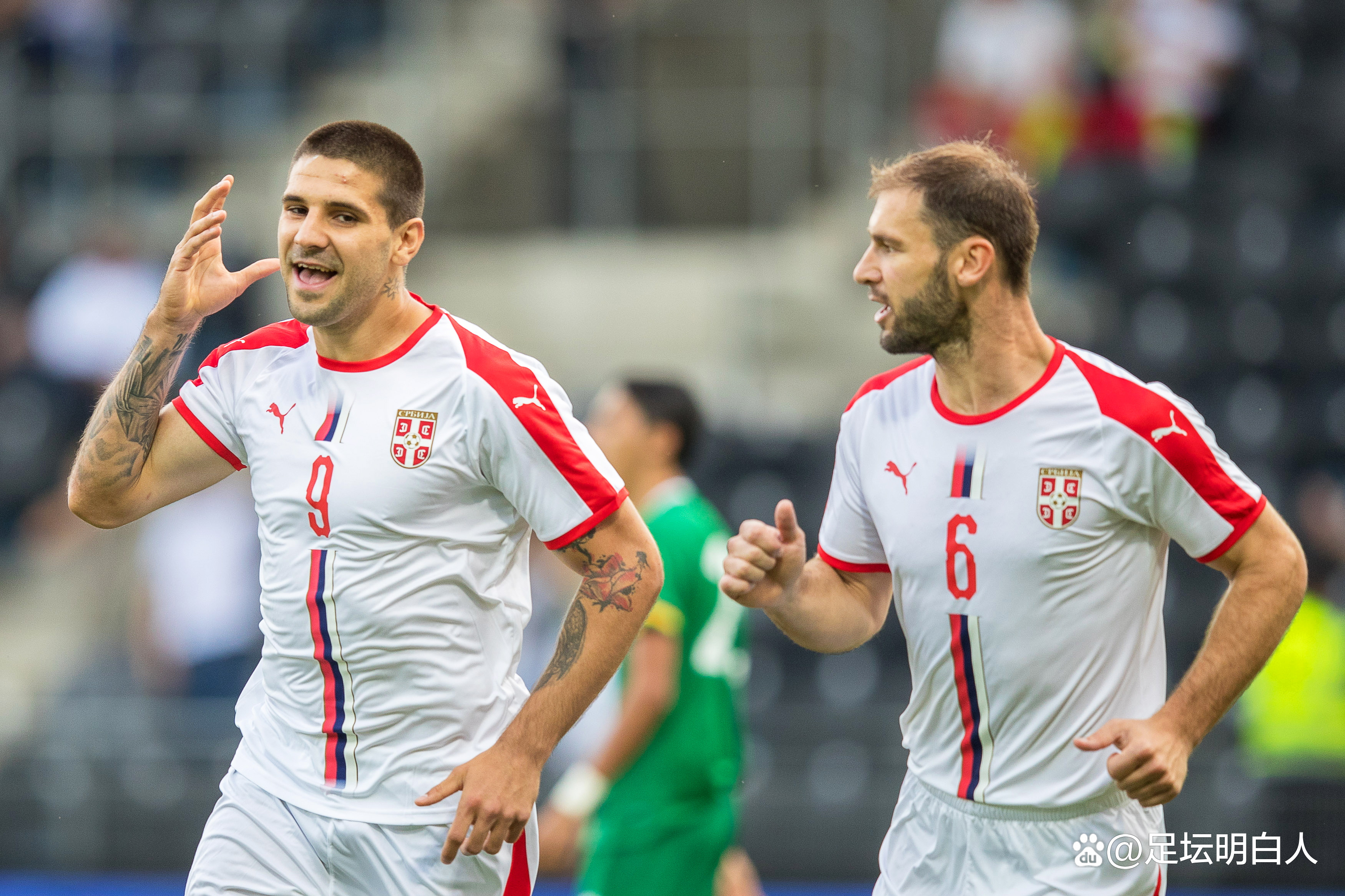 塞尔维亚队客场击败奥地利,进军下一轮的简单介绍 塞尔维亚队客场击败奥地利,进军下一轮的简单介绍